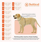Suitical Recovery Suit for Dogs | Spay and Neutering Dog Surgery Recovery Suit for Male or Female | Soft Fabric for Skin Conditions | S | Neck to Tail 16.9”- 20.1” | Pink Camouflage