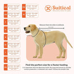 Suitical Recovery Suit for Dogs | Spay and Neutering Dog Surgery Recovery Suit for Male or Female | Soft Fabric for Skin Conditions | M+ | Neck to Tail 24.0”-28.3” | Pink Camouflage