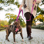 PetiFine 5FT Heavy Duty Dog Leash with Soft Padded Double Handle | Traffic Handle Extra Control,Auto Lock Hook,Reflective Nylon Walking Lead for Large,Medium,Small Breed Dogs
