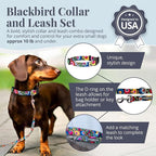 Lucky Love Dog - Easy Click Buckle Dog Collar with Leash Set Combo, Durable & Comfortable for Male & Female Dogs, Pet Collar for Small Dogs, Secure Fit - Blackbird Combo, X-Small