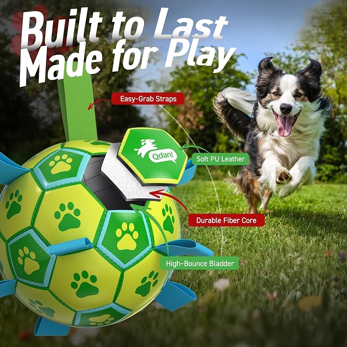 QDAN Dog Toys Soccer Ball, Durable Dog Balls with Strap for 30-90 lbs Dogs | 8 Inch Soccer Toy with Tabs, Training Herding Balls for Outdoor, Dog Tug Toy for Tug of War, Puppy Birthday Gifts, Green