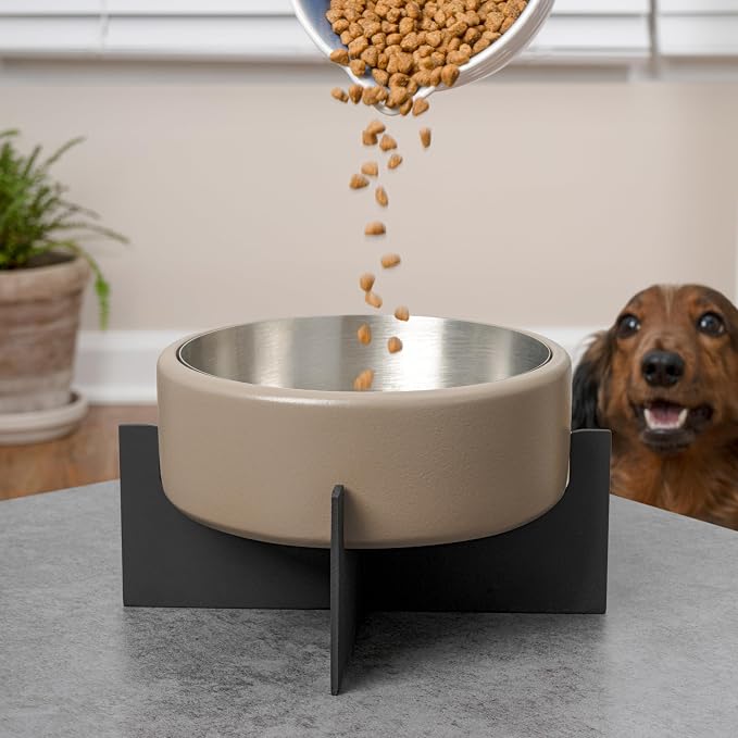 Ripple Ridge 16oz (2 Cups) Small/Medium Slanted Pet Feeder with Weighted Concrete Base and Removable Stainless Steel Bowl, Non-Slip Dishwasher Safe for Dogs, Cats, Pink DBL3001A