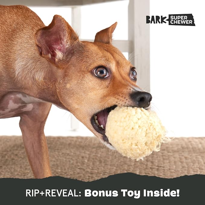 BarkBox Potato Super Chewer - Toy for Small Dogs | Durable Dog Toy for Aggressive Chewers - Bacon Scented Chew