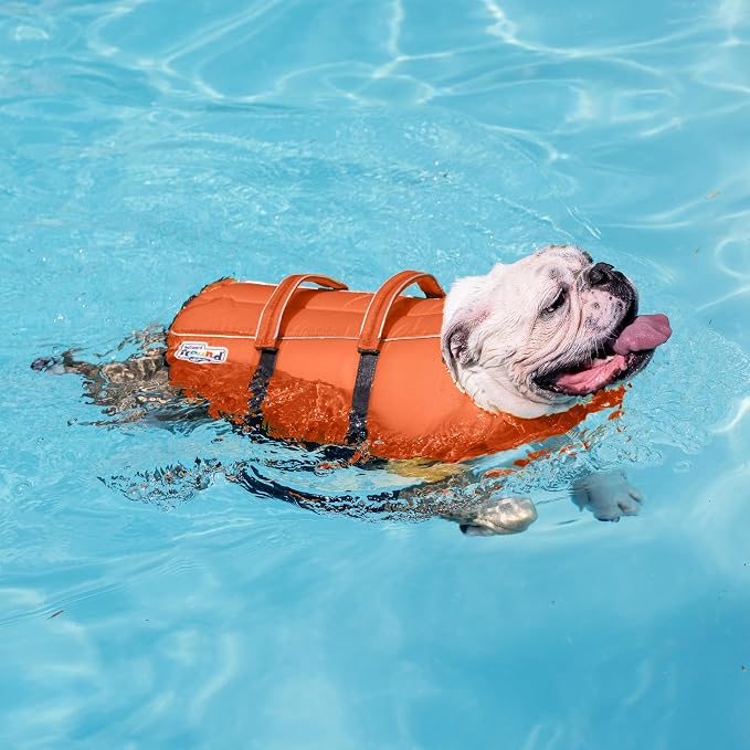 Outward Hound Granby Splash Orange Dog Life Jacket, XL