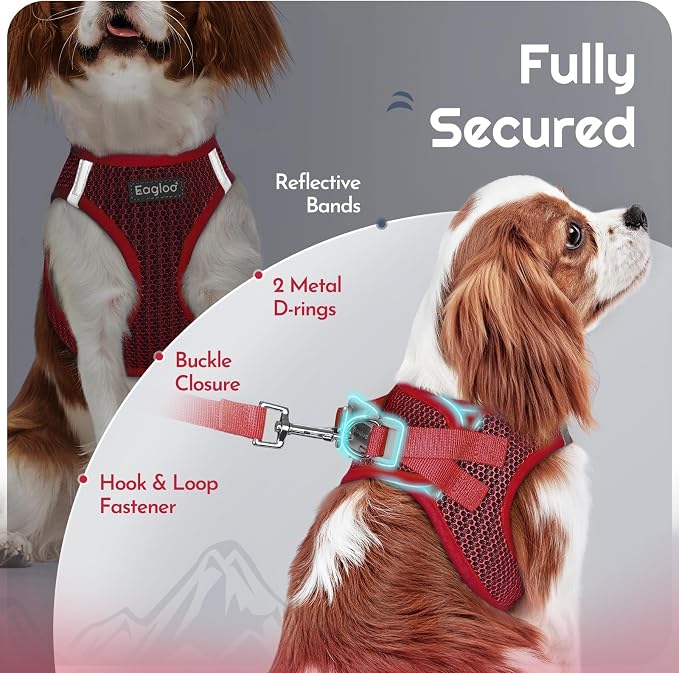 Eagloo Small Dog Harness and Leash Set, Step in Extra Small Puppy Pet Vest | Light, Soft, Breathable Air Mesh, Easy on and off with Hook & Loop, Reflective for Safe Walking, Red, XXS