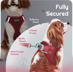 Eagloo Small Dog Harness and Leash Set, Step in Small Sized Puppy Pet Vest | Light, Soft, Breathable Air Mesh, Easy on and off with Hook & Loop, Reflective for Safe Walking, Red, S