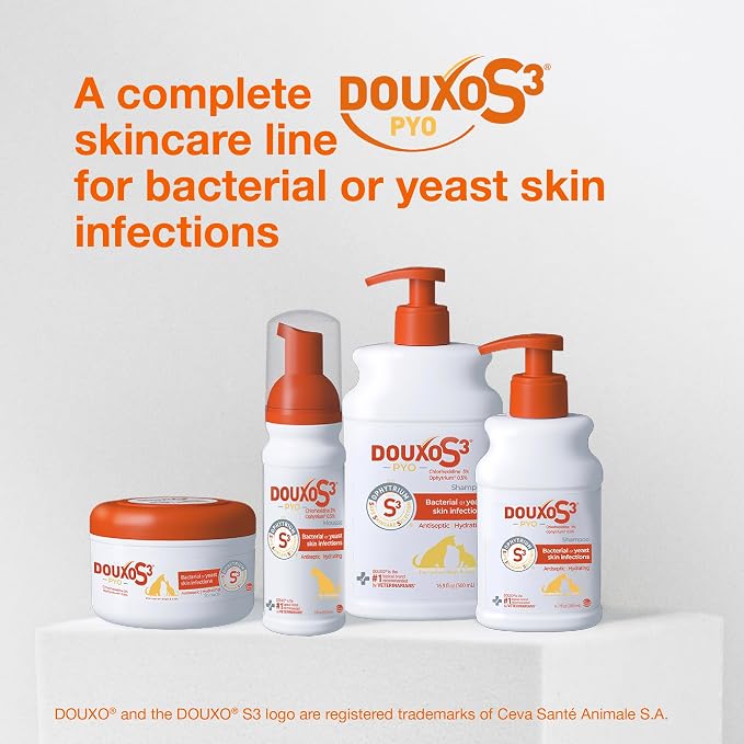 Douxo S3 PYO Chlorhexidine Shampoo For Dogs, Medicated Shampoo Antibacterial & Antiseptic, Yeast Infection Treatment for Dogs & Cats, Clinically Proven, 16.9 fl oz | Medicated Shampoo Antibacterial & Antiseptic, Yeast Infection Treatment for Dogs & Cat...