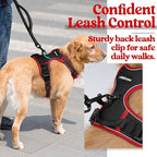 rabbitgoo Dog Harness, No Pull for Large Dogs with 2 Leash Clips, Pet Vest | No Choke with Handle, Adjustable Soft Padded, Reflective, Easy Control for Walking, Black & Red, Large