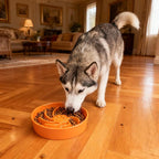 Ceramic Slow Feeder Dog Bowl, 3 Cup Dog Food or 25oz Water, Slow Eating Bowl for Middle Breed, Maze Puzzle Feeder for Fast Eaters, Anti-Choking Stop Bloat, Non-Slip BPA Free (Orange)