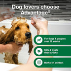 Advantage Dog Flea & Tick Shampoo for Puppies & Adult Dogs | Kills Fleas & Ticks | 24 oz.