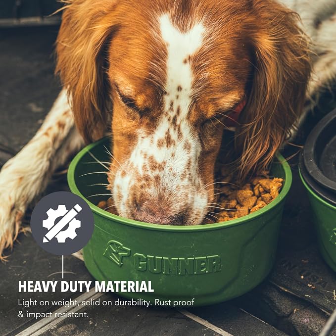 Dog Bowl with Spill-Proof Travel Lid, Green, 7-Cup Pet Travel Bowl | Green 7-Cup Dog Bowl, Spill-Proof Travel Lid, BPA-Free, Rust-Proof, Shock-Resistant, Stackable and Dishwasher Safe