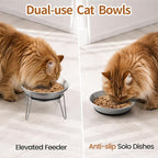 WROSWT Elevated Cat Bowls, 304 Stainless Steel Raised Cat Food Bowl, Wide Shallow Anti-Vomiting Cat Dish for Whisker Fatigue Relief, Non-Slip Silicone Base Dishes for Solo Use, 2 Set