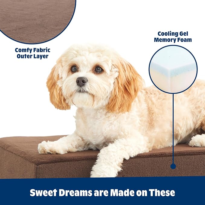 BarkBox Orthopedic Dog Bed - Medium | with Memory Foam - Comfortable, Durable & Machine Washable Pet Bed - Espresso