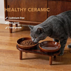 Havniva Elevated Cat Bowls, Ceramic Cat Bowl with Wood Stand, Wide Opening | 5.7” Raised Cat Food Bowls, Whisker Friendly Cat Dish, Anti-Slip Cat Water Bowls, Shallow Cat Bowls, Cat Food & Water Bowl
