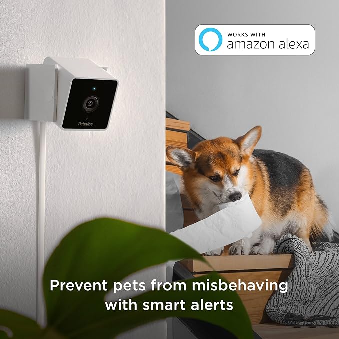 Petcube Cam (3-Pack) – Indoor Wi-Fi Home Security Camera with App | 1080p HD, two-way audio, motion detection, night vision, baby & pet monitor. Includes 3 cameras