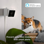 Petcube Cam (2-Pack) – Indoor Wi-Fi Home Security Camera with App | 1080p HD, two-way audio, motion detection, night vision, baby & pet monitor. Includes 2 cameras