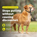 PetSafe Gentle Leader No Pull Dog Headcollar, Black, Petite | Veterinary Behaviorist-Designed No-Pull Headcollar Redirects Pulling Instinct, Padded Neoprene Nose Loop, Quick-Snap Fit
