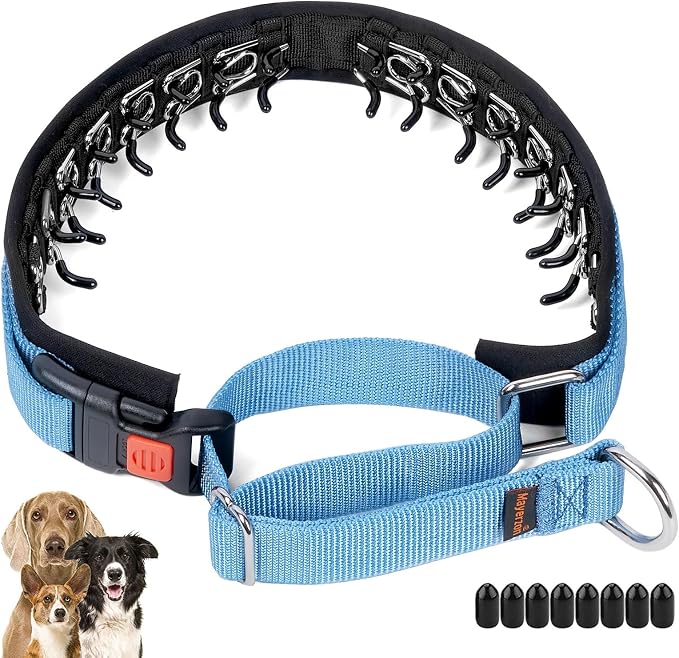 Mayerzon No Pull Dog Collar Martingale, Blue, S | Neck Cir 11.5"-14.5" | For Small Medium Large Dogs, Buckle, Heavy Duty Nylon, For Walking Training Hunting, Adjustable, Safe & Easy to Use, Patented