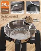 Elevated Dog Bowl, Raised Dog Bowl Stand with Stainless Steel Bowl | Elevated Pet Water & Food Bowl for Medium Dogs, Stable and Anti-Slip Raised Bowl