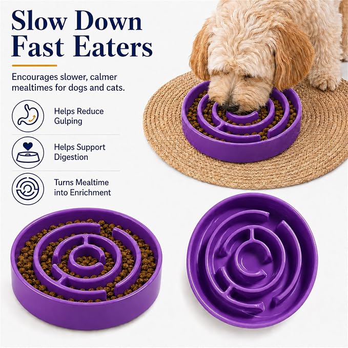 Ceramic Slow Feeder Dog Bowl, 1.5 Cup Puzzle Dish for Small Medium Dogs | Glazed ceramic maze bowl with 1.5-cup capacity for dry or wet food, sized for small and medium dogs