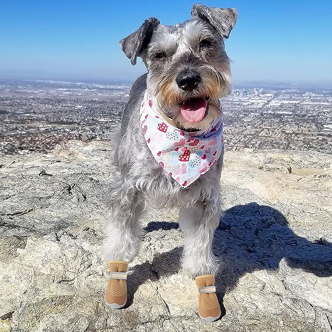 QUMY Dog Shoes for Small Dogs Hot Pavement Puppy Dog Boots & Paw Protectors | Small Medium Dog Summer Shoes, Soft Anti-Slip Rubber Sole, Mesh Breathable Dog Booties for Hardfloors, Walking Running Khaki