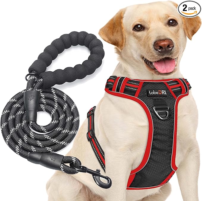tobeDRI No Pull Dog Harness Adjustable Reflective Oxford Easy Control Medium Large Dog Harness with A Free Heavy Duty 5ft Dog Leash, Black/Red, XL
