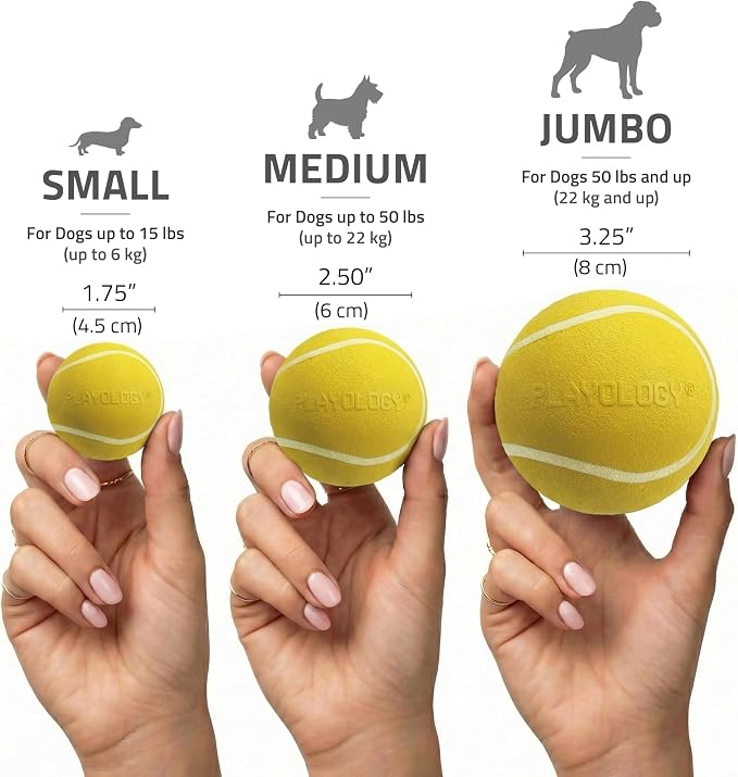 Playology Dog Toys | Squeaky Chew Ball for Dogs, Value 2-Pack | Chicken Scented Medium Dog Balls | Bouncy Floating Chew Toys for Fetch