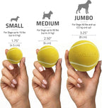 Playology Dog Toys | Squeaky Chew Ball for Dogs, Value 2-Pack | Chicken Scented Medium Dog Balls | Bouncy Floating Chew Toys for Fetch