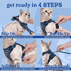 rabbitgoo Cat Harness and Leash Set, Escape Proof Vest, Cosmic Ace | Soft Breathable Mesh, Easy Adjustable Fit, Snap Buckles, Sturdy Clip, Reflective Strips, for Kittens & Small Cats Walks, Xxs
