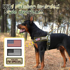 Forestpaw No Pull Dog Harness with Large Handle,Comfortable,L,Camo Green | Adjustable Fits Chest 26-31",50-80 lbs,Slip On,Quick Release,Easy Control,Soft Padded,for Medium Large Dogs Walking Training