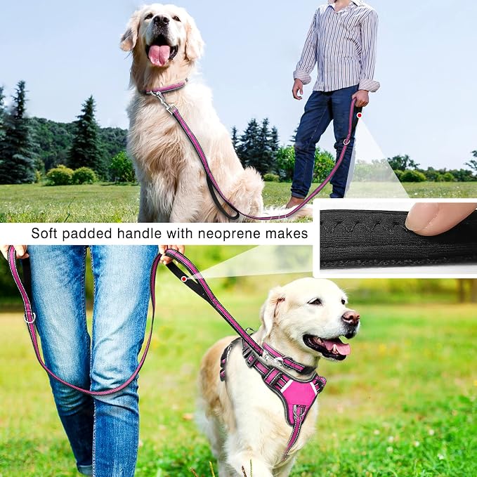 WINSEE Pet Harness Collar and Leash Set, All-in-one Reflective Dog Harness No Pull with Adjustable Buckles for Puppies, Small, Medium, Large, and Extra-Large Dogs (Small, Rosy)