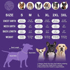 cyeollo Small Dog Coat, Sherpa Dog Winter Coat Reversible Fleece Doggie Jackets Doggy Sweater for Small Dogs Male with Leash Hole, Soft Cold Weather Pet Clothes, Dark Grey M