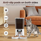 Petrice Automatic Cat Feeder for 2 Cats, 6L/25 Cups Cat Food Dispenser Programmable 30 Portions 6 Meals per Day, Timed Pet Feeder for Kitty Small Dogs with 10S Voice Record, Easy Setup, White