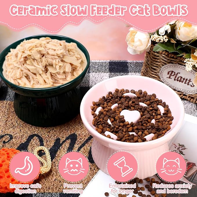 Tioncy 2 Pcs Ceramic Elevated Slow Feeder Cat Bowl, Raised Cat Slow Feeder Bowl, Anti Vomiting for Dry and Wet Food, No Spill High Edge Easy Clean Dishwasher Safe (Pink,Dark Green)