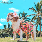 Parisian Pet Hawaiian Dog Dress - 100% Cotton Summer Clothes for Large Dogs Girl - Pet Dress with Pull-Up Straps - Floral Beach Dog Outfit - Lightweight Puppy Clothes - Stylish Dresses for Dogs