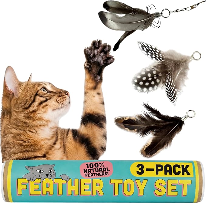 Cat Feather Toy Refill 3-Pack - Natural Feather Cat Toy - Small Size Cat Wand Attachments - Official Cat Toy Feather Replacement for Forever Stick Cat Wand Toy - Cat Wand Refill - Cat Lure and Teaser