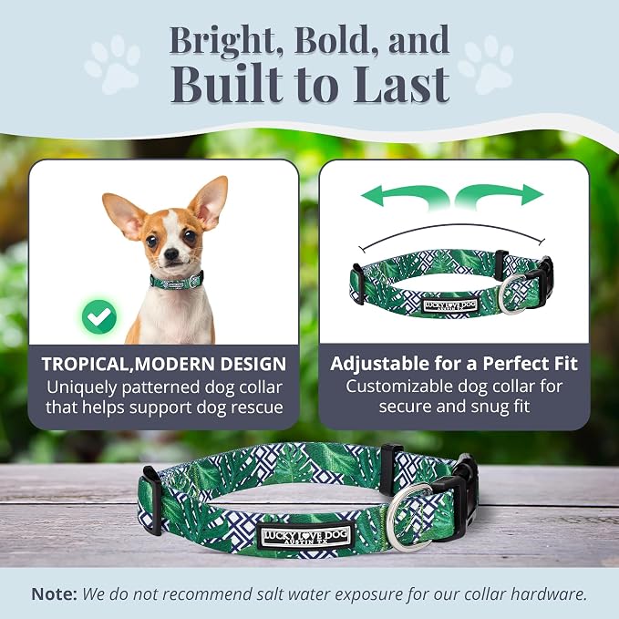 Lucky Love Dog Collar, Beautiful & Vivid Pattern X-Small Boy Dog Collars, Easy On & Off Clasp Accessory (Blue Laguna, XS)