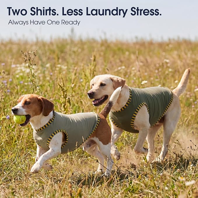 IECOii 2 Pack Dog Surgery Recovery Shirt Sleeveless Lightweight Dog Tshirt | T-Shirts with Stretch Fit,Gentle on Sensitive Skin,Anti-licking for Hot Spots,Shedding Control Tee,For Small to Giant Dogs