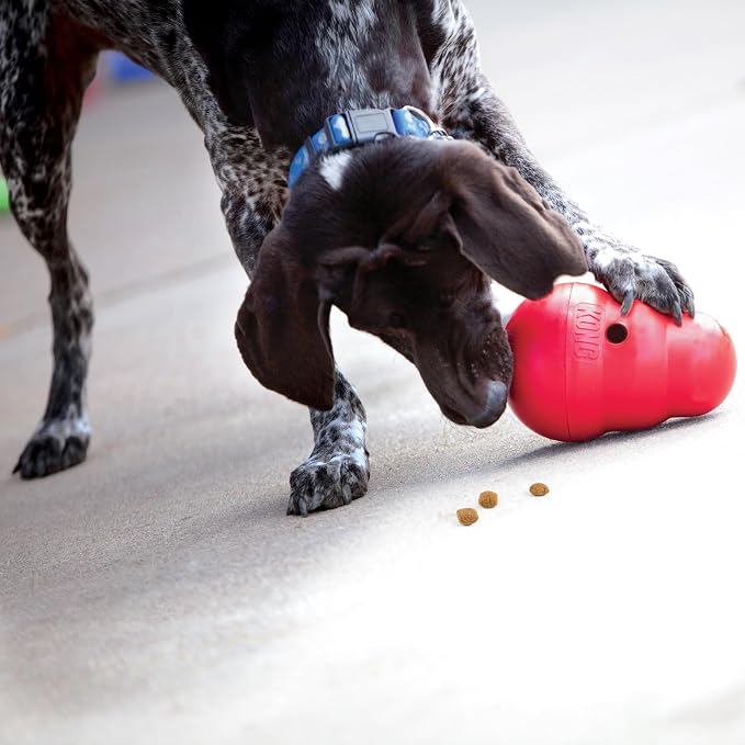 KONG Wobbler - Interactive Dog Toy for Treat Dispensing - Dog Slow Feeder for Healthy Eating - for Medium/Large Dogs