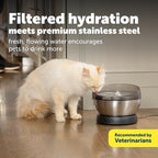 PetSafe HydroSphere 60 oz Stainless Steel Pet Fountain - Filtered Water Fountain for Cats and Small Dogs - Dishwasher Safe - Quiet, Wire-Free Pump - Easy to Clean