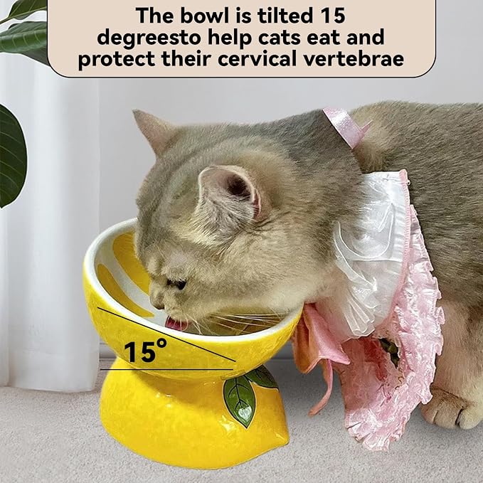 Hamiledyi Ceramic Raised Cat Bowl 2PCS Anti Vomiting Elevated Tilted Cat Food & Water Bowls Pet Feeder Dish for Indoor Kitty and Small Dogs (Watermelon & Lemon)