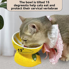 Hamiledyi Ceramic Raised Cat Bowl 2PCS Anti Vomiting Elevated Tilted Cat Food & Water Bowls Pet Feeder Dish for Indoor Kitty and Small Dogs (Watermelon & Lemon)