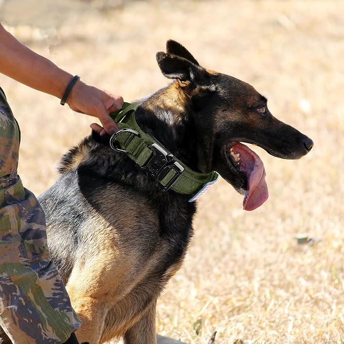 Tactical Military Collar - Adjustable Nylon, Heavy Duty Metal Buckle with Handle for Dog Training, with Patches (Green, M)