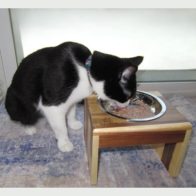 Raised Cat Bowls, 6.25 in Wide, 6" Elevated Cat Feeding Stand (with 2 Stainless Steel Bowls: 12 oz/1.5 Cup), Small Dogs, Rabbits, Anti-Vomit, Whisker Friendly, 6 x 8 x 8 in, Acacia Wood