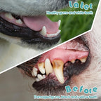 Gerrii 200 Count Dog Toothbrush Double Headed Pet Toothbrush Long Handle Dog Tooth Brushing Kit Soft Bristles Pet Tooth Brush for Doggy Cat and Most Pets Teeth Cleaning Dental Oral(White)