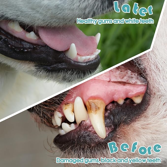 Gerrii 200 Count Dog Toothbrush Double Headed Pet Toothbrush Long Handle Dog Tooth Brushing Kit Soft Bristles Pet Tooth Brush for Doggy Cat and Most Pets Teeth Cleaning Dental Oral(White)