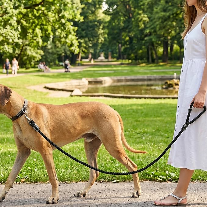 Mile High Life Dog Leash Braided Cotton Rope w/Leather-Wrapped Ends/Handle | Rust-proof 360° swivel clasp, Heavy-duty for medium/large breeds. Great for weddings, daily walks (4 FT, 1/2", Black)