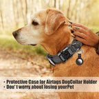 Tactical Dog Collar and Bungee Leash,Military Dog Collar & Leash Set with USA American Flag Adjustable K9 Collar with Heavy Duty Metal Buckle & Handle,with Patches and Airtags Case (M, Black)