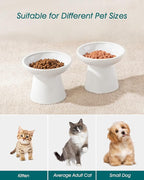 vancasso Elevated Cat Food Bowls 2-Pack, 6.2" Wide Shallow Cat Feeding Bowl for Whisker Fatigue, 5.1" Height Ceramic Raised Food Bowls for Senior Cats, Anti Vomit, White