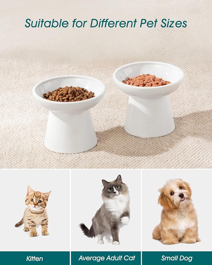 vancasso Elevated Cat Food Bowls 2-Pack, 6.2" Wide Shallow Cat Feeding Bowl for Whisker Fatigue, 5.1" Height Ceramic Raised Food Bowls for Senior Cats, Anti Vomit, White
